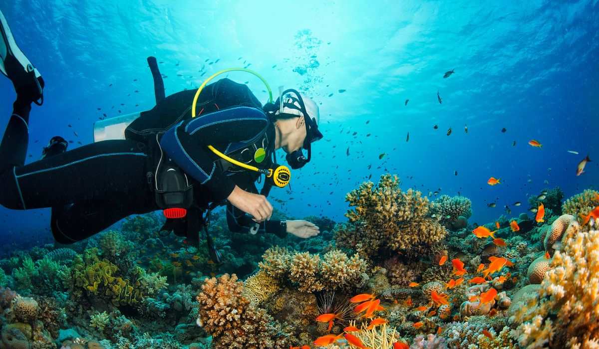 scuba-diving-ocean-blue-seychelles-img