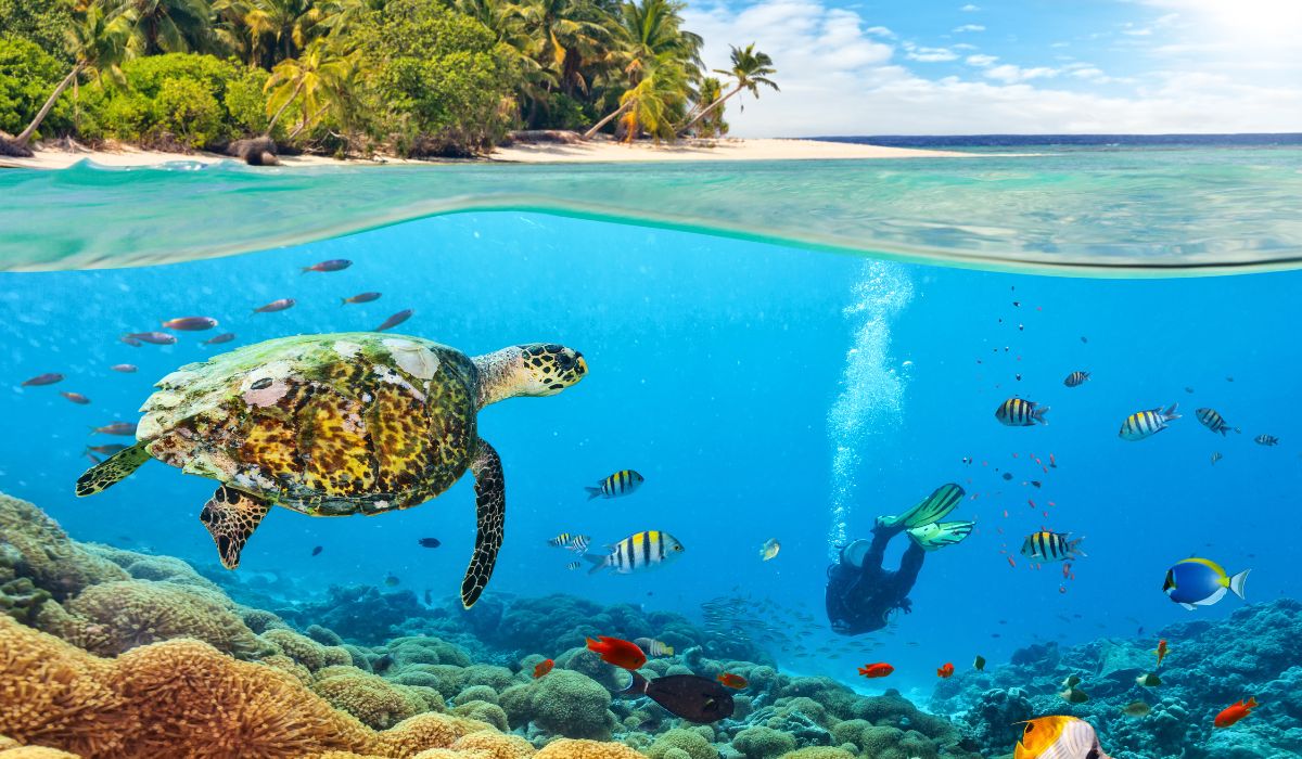 scuba-diving-ocean-blue-seychelles-img