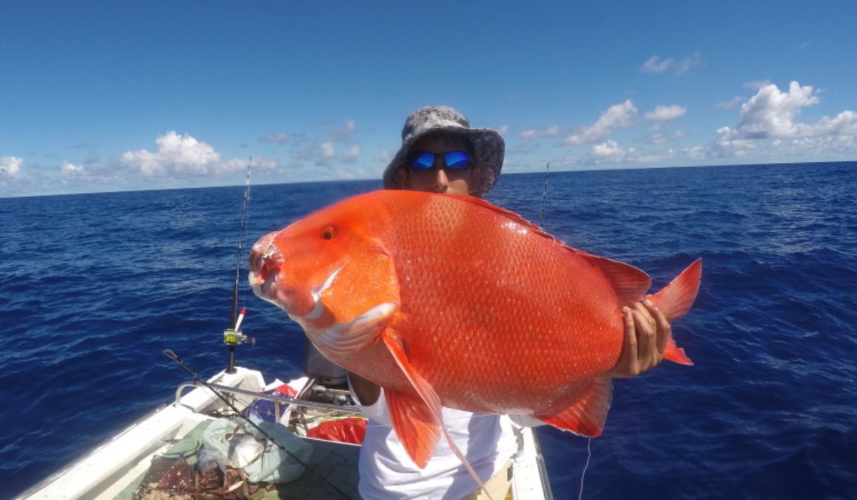 big-game-fishing-in-seychelles-ocean-blue-img