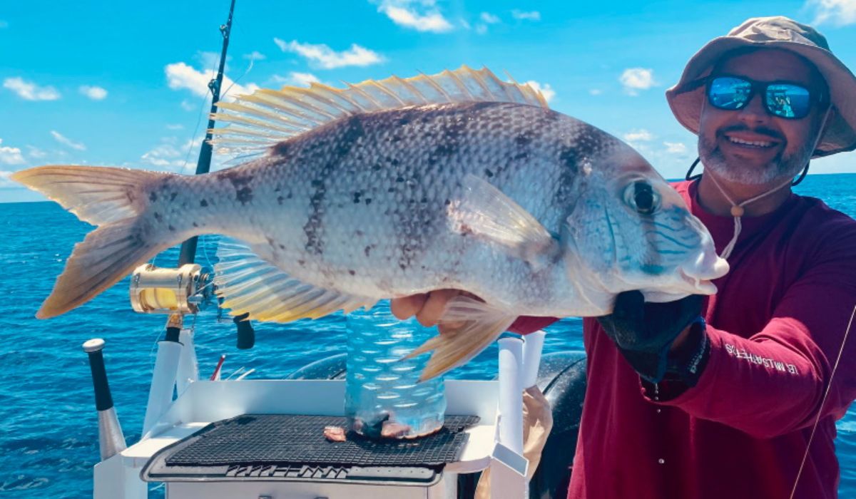 big-game-fishing-in-seychelles-ocean-blue-img