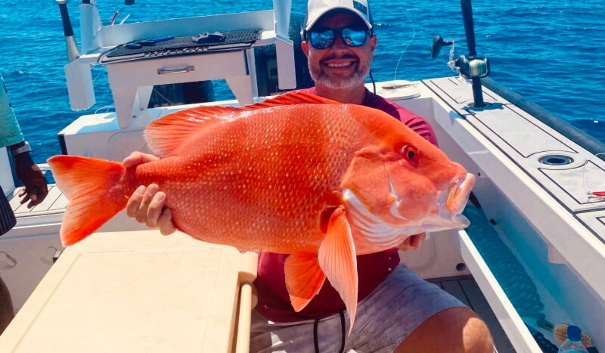 big-game-fishing-in-seychelles-ocean-blue-img