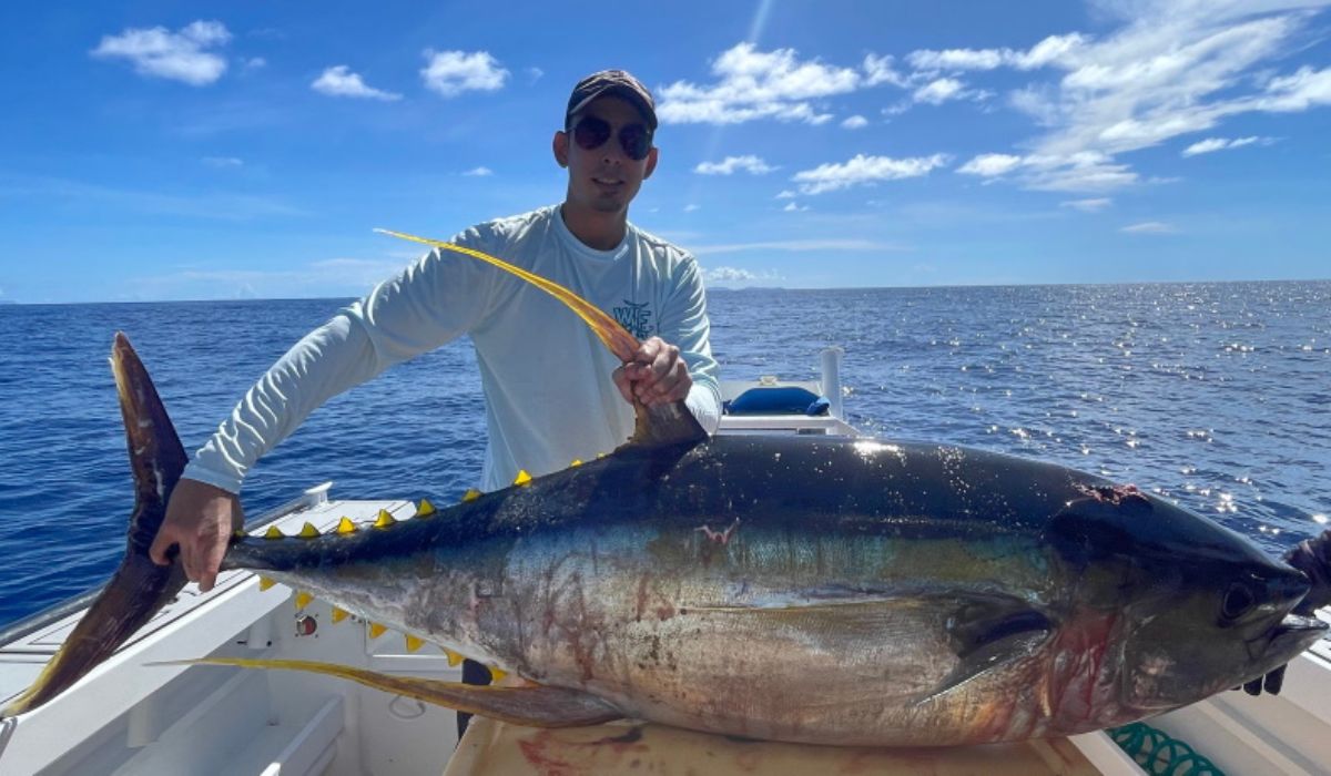 big-game-fishing-in-seychelles-ocean-blue-img