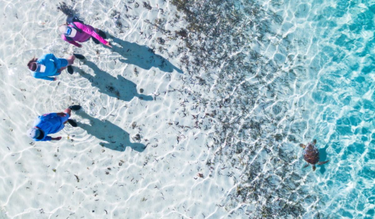 day-trip-praslin-la-digue-ocean-blue-seychelles-img
