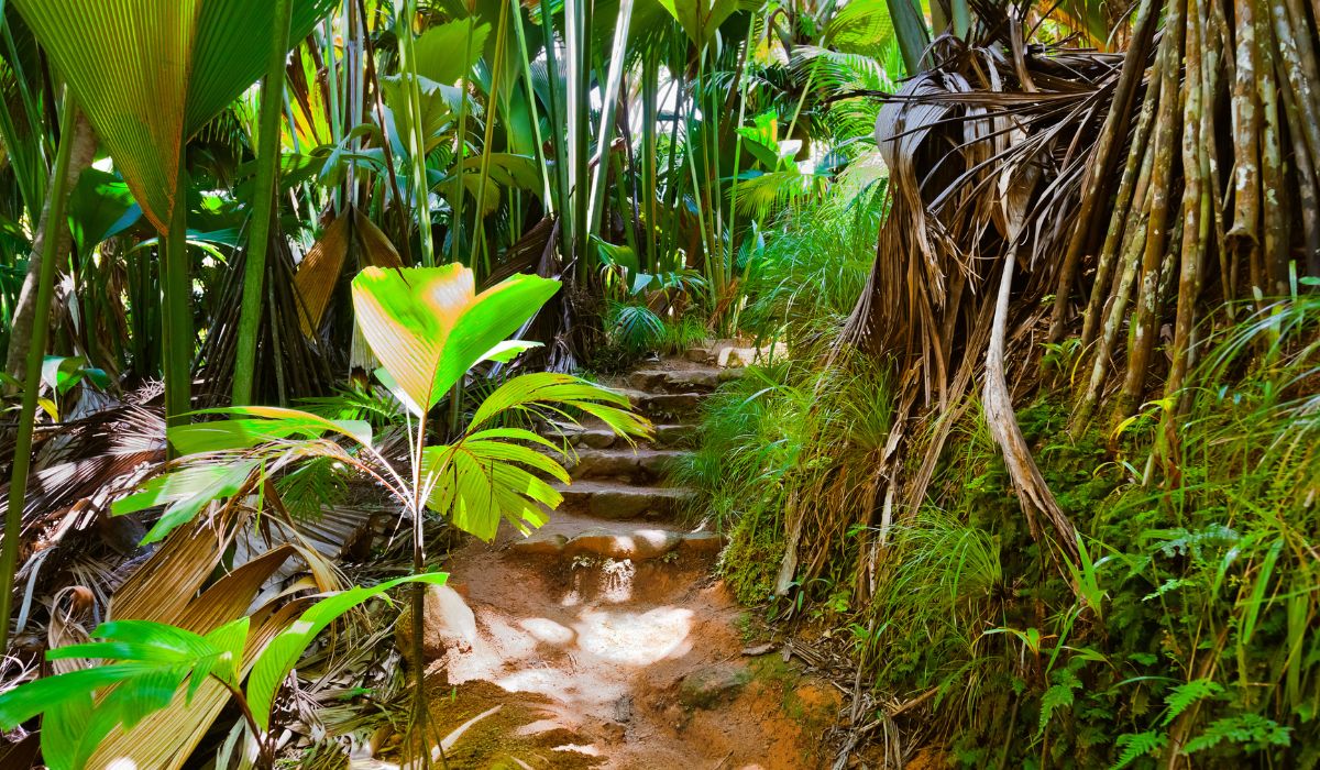 hiking-ocean-blue-seychelles-img