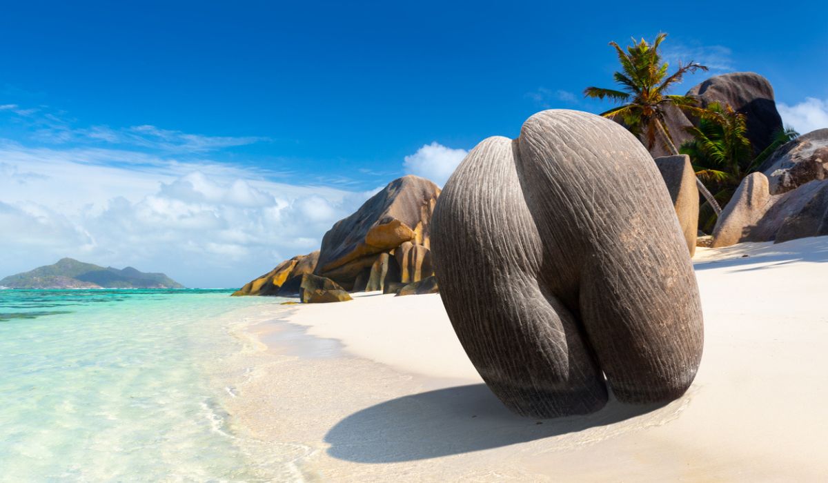 praslin-island-tour-ocean-blue-seychelles-img