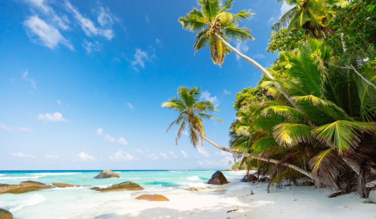 sand-and-sea-ocean-blue-seychelles-img