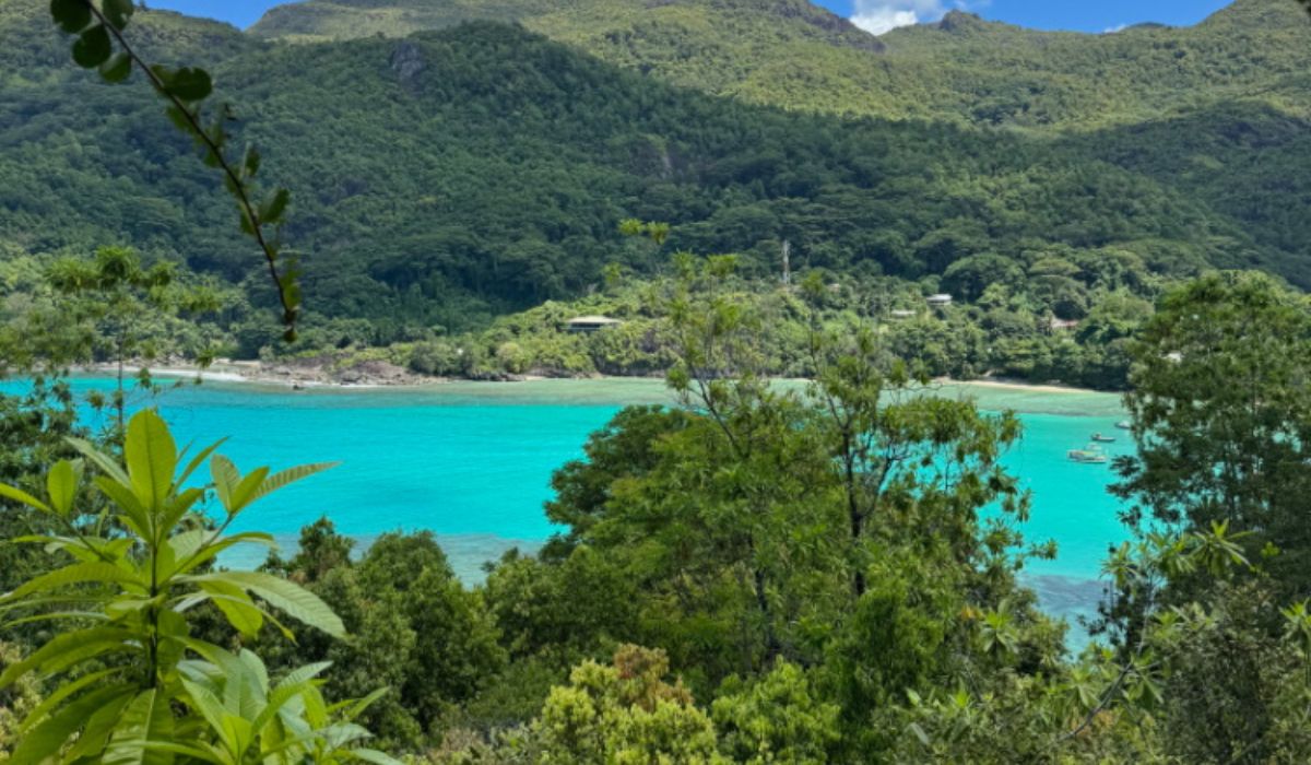 zip-lining-ocean-blue-seychelles-img